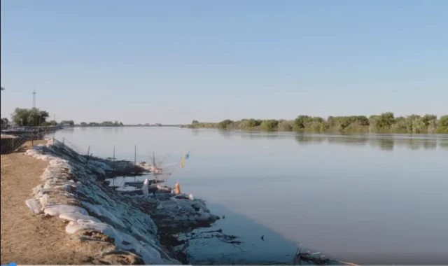 Фермеры Атырауской области не знают куда им возвращать скот и чем его кормить